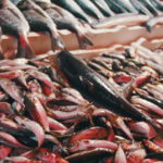 Рыбный рынок Батуми