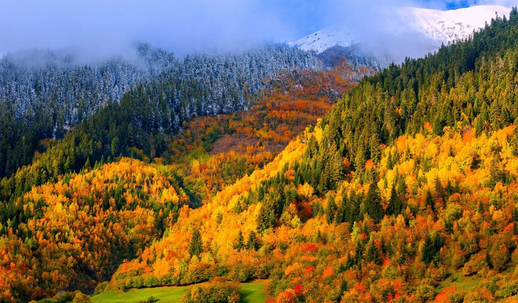 Грузия осенью