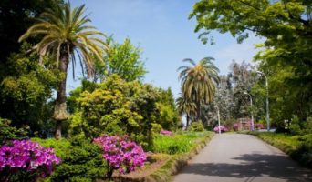 Батумский ботанический сад