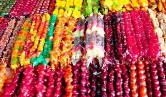 Чурчхела — что это такое