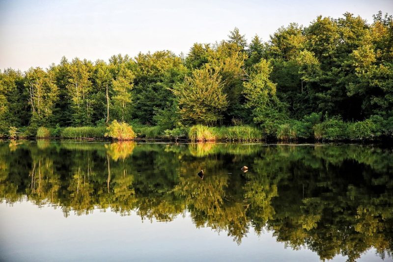 Колхидский национальный парк