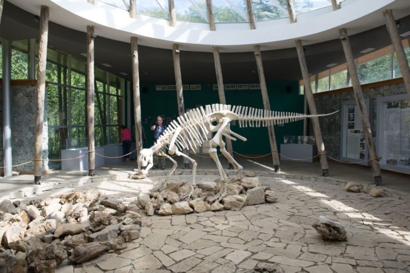 Скелет динозавра