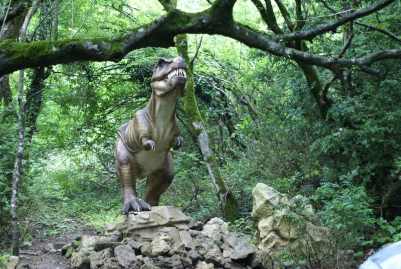 Следы динозавров