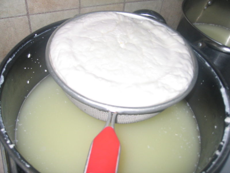 Рецепт сыр сулугуни в домашних условиях рецепт с фото